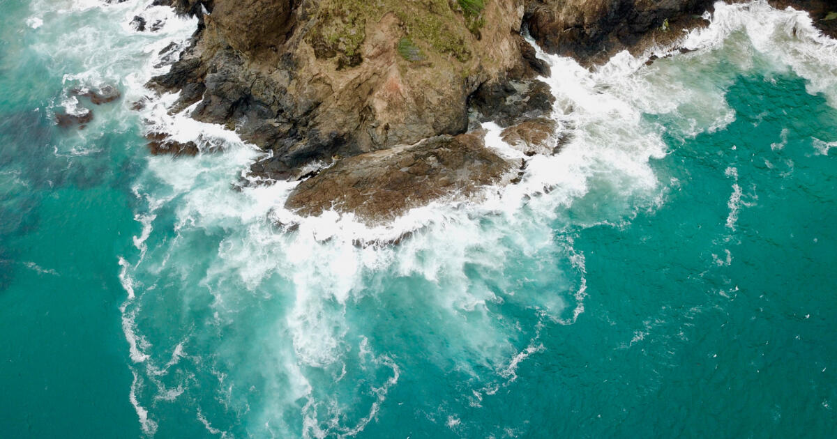 Calibrating process-based marine ecosystem models: An example case ...